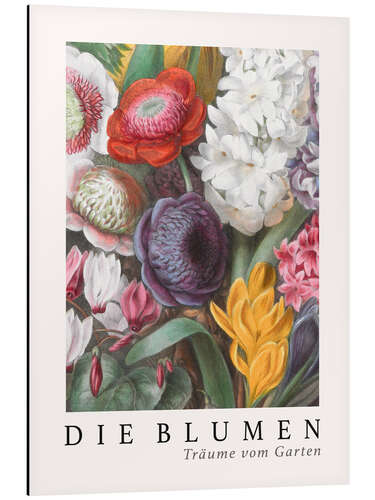 Obraz na aluminium Album Vilmorin, The Flowers I (German)