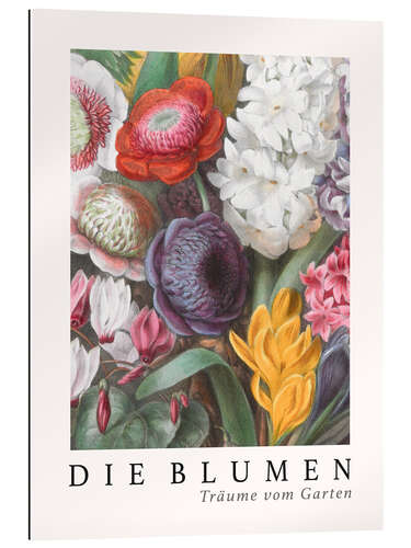 Gallery Print Album Vilmorin, Die Blumen I