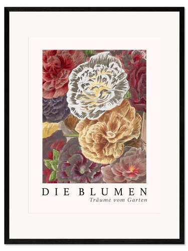 Impresión de arte enmarcada Album Vilmorin, The Flowers X (German)
