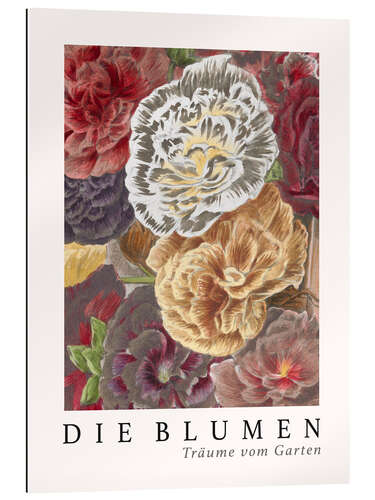 Quadro em plexi-alumínio Album Vilmorin, The Flowers X (German)