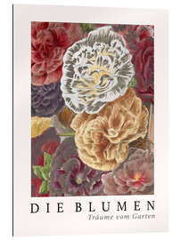 Gallery print Album Vilmorin, The Flowers X (German)