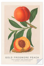 Wall sticker The Florist and Pomologist - Gold Frogmore Peach