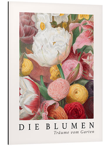 Alubild Album Vilmorin, Die Blumen XIV