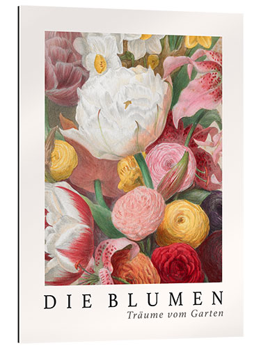 Gallery print Album Vilmorin, The Flowers XIV (German)