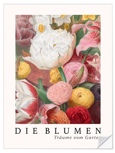 Sticker mural Album Vilmorin, The Flowers XIV (German)