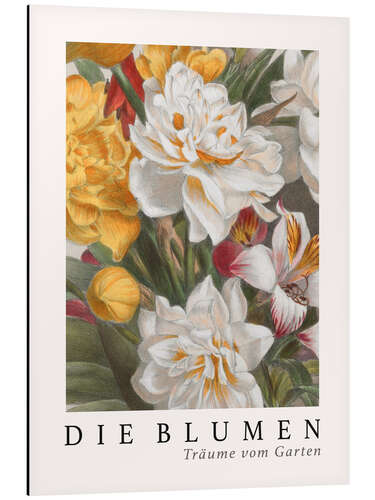 Obraz na aluminium Album Vilmorin, The Flowers II (German)