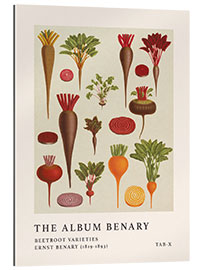 Gallery print The Album Benary - Beetroot Varieties