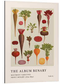 Magnettafel The Album Benary - Beetroot Varieties