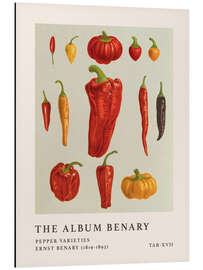 Magnettafel The Album Benary - Pepper Varieties