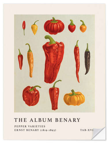 Vinilo para la pared The Album Benary - Pepper Varieties