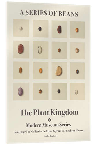 Akryylilasitaulu The Plant Kingdom - A Series Of Beans