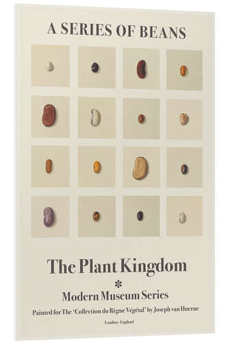 PVC print The Plant Kingdom - A Series Of Beans