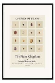 Gerahmter Kunstdruck The Plant Kingdom - A Series Of Beans