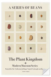 Selvklebende plakat The Plant Kingdom - A Series Of Beans