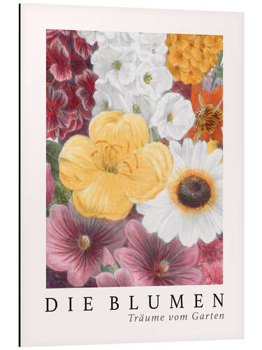 Cuadro de aluminio Album Vilmorin, The Flowers VII (German)