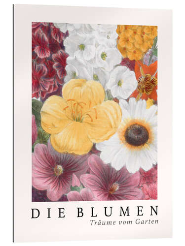 Gallery Print Album Vilmorin, Die Blumen VII