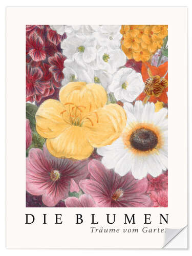 Wandsticker Album Vilmorin, Die Blumen VII