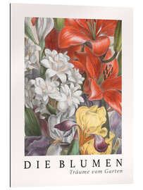 Gallery print Album Vilmorin, The Flowers XI (German)