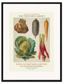 Inramat konsttryck Album Vilmorin, The Vegetable Garden V