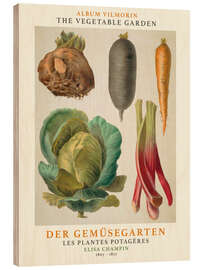 Wood print Album Vilmorin, The Vegetable Garden V