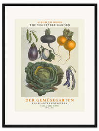 Gerahmter Kunstdruck Album Vilmorin, Der Gemüsegarten IX