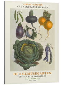 Magnettafel Album Vilmorin, Der Gemüsegarten IX