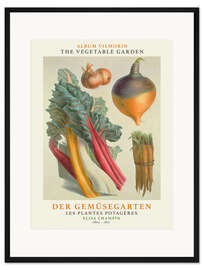Gerahmter Kunstdruck Album Vilmorin, Der Gemüsegarten II