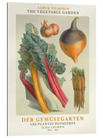 Gallery print Album Vilmorin, The Vegetable Garden II