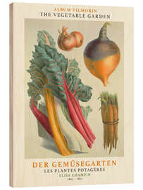 Wood print Album Vilmorin, The Vegetable Garden II