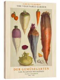 Wood print Album Vilmorin, The Vegetable Garden VI