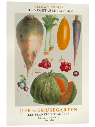 Acrylic print Album Vilmorin, The Vegetable Garden IV