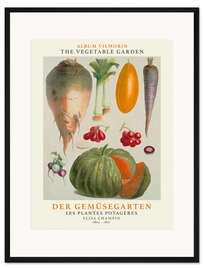 Gerahmter Kunstdruck Album Vilmorin, Der Gemüsegarten IV