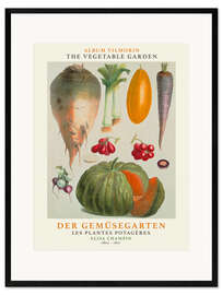 Ingelijste kunstdruk Album Vilmorin, The Vegetable Garden IV