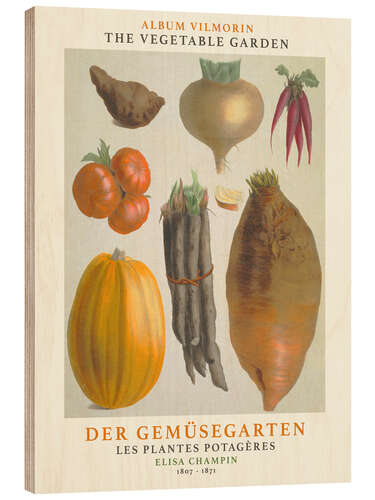 Wood print Album Vilmorin, The Vegetable Garden III