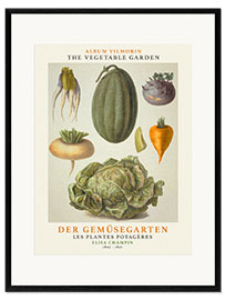 Framed art print Album Vilmorin, The Vegetable Garden VII