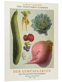 Foam board print Album Vilmorin, The Vegetable Garden X