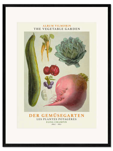 Inramat konsttryck Album Vilmorin, The Vegetable Garden X