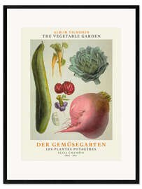 Ingelijste kunstdruk Album Vilmorin, The Vegetable Garden X