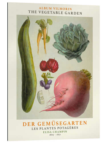 Gallery print Album Vilmorin, The Vegetable Garden X