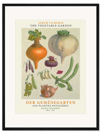 Gerahmter Kunstdruck Album Vilmorin, Der Gemüsegarten I
