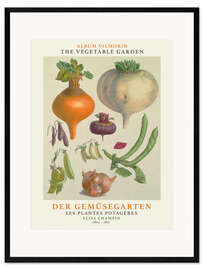 Ingelijste kunstdruk Album Vilmorin, The Vegetable Garden I