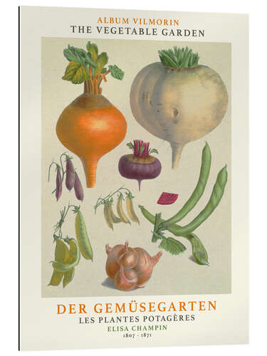 Galleriprint Album Vilmorin, The Vegetable Garden I