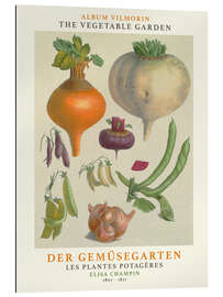 Galleriprint Album Vilmorin, The Vegetable Garden I