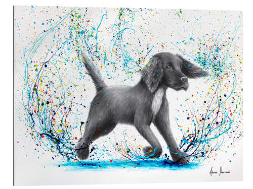 Cuadro de plexi-alu Spaniel Splash