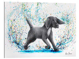 Gallery print Spaniel Splash