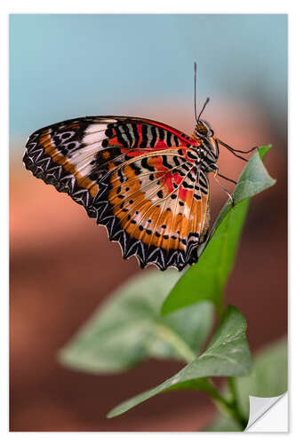 Wandsticker Bunter Schmetterling auf einem Blatt