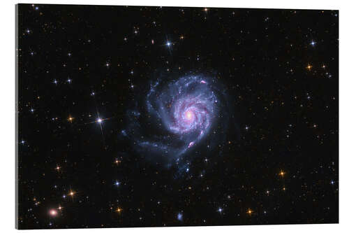 Acrylic print The Pinwheel Galaxy - M101