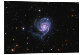 Tableau en aluminium The Pinwheel Galaxy - M101