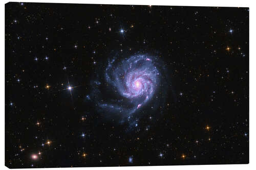 Canvas print The Pinwheel Galaxy - M101