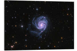 Tableau en plexi-alu The Pinwheel Galaxy - M101